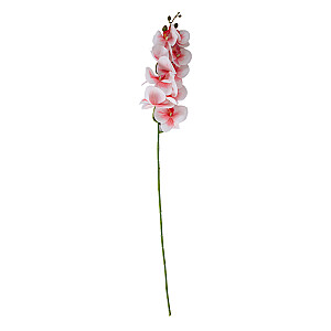 Орхидея FLOWERLY H94см, светло-розовая