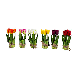 Maksligais zieds FLOWERLY 5gab/komplekts, tulpes