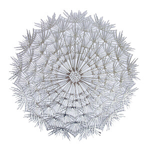 Galda sedzina DANDELION D38cm,sudrabs