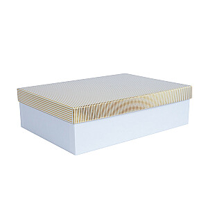 Box ELSA-6, with a lid kuld/hõbe, white