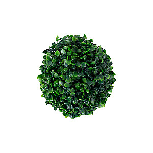 Zāles bumba BUXUS GREENLAND D17cm, zaļa