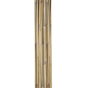 Bambuskepid IN GARDEN H180cm 10tk D12/14