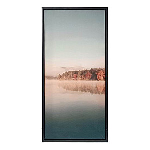 Kanva ar rāmi WALLY 30x60cm, ezers A