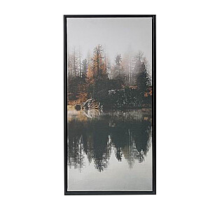 Kanva ar rāmi WALLY 30x60cm, mežs B