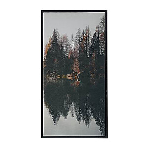 Kanva ar rāmi WALLY 30x60cm, mežs C