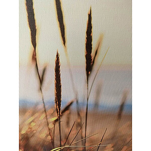 Kanva ar rāmi WALLY 30x90cm, meldri