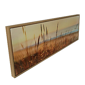 Kanva ar rāmi WALLY 30x90cm, meldri