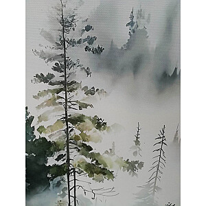 Kanva ar rāmi WALLY 45x60cm, miglains mežs