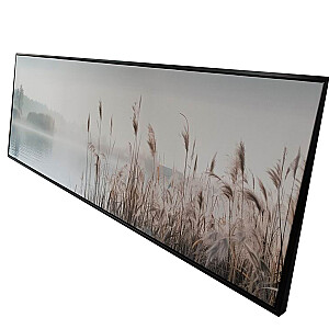 Kanva ar rāmi WALLY 50x140cm, niedras pie ezera