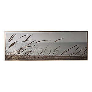Kanva ar rāmi WALLY 50x140cm, niedras