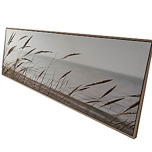 Kanva ar rāmi WALLY 50x140cm, niedras