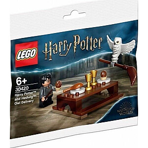 LEGO komplekts Harijs Poters Harijs un Hedviga (30420)