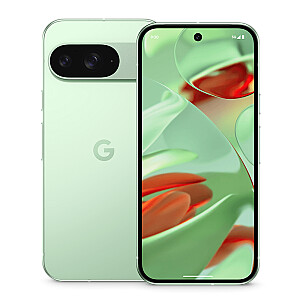 Google Pixel 9 12/256GB 5G Зимний Зеленый