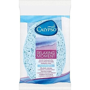 Spontex Calypso Sponge Расслабляющий момент 31280592...