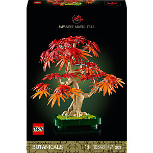 Botanicals Klon palmu bonsai (10348)