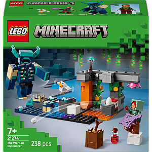 Minecraft sanāksme ar Guardian (21274)