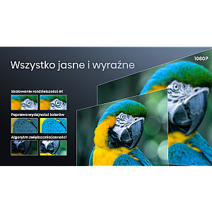 HISENSE C2 LASER 4K PROJEKTORS