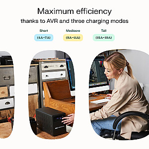 Источник бесперебойного питания UPS AVR PowerCore 800W/1200VA 12VDC