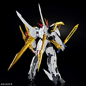 HG AMPLIFIED IMGN RYUOMARU