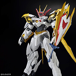 HG AMPLIFIED IMGN RYUOMARU