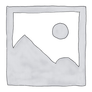 6416739554006