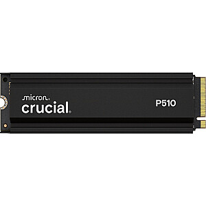 SSD disks P510 1TB M.2 NVMe Gen5 2280 11000/9500 radiators