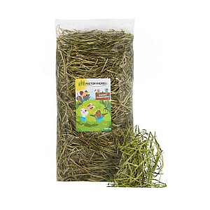 FACTORY HERBS Svaigs timoteja siens Raža 2025 - našķis grauzējiem un trušiem - 500g