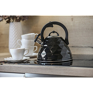 Чайник ROSA 3L BR-7627 черный