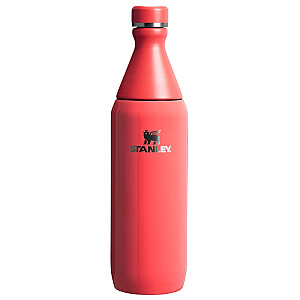 Termopudele The All Day Slim Bottle 0,6L glancēti koraļu sarkanoranža