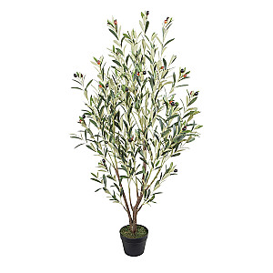 Mākslīgais koks WIND OLIVE  H130cm