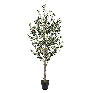 Mākslīgais koks WIND OLIVE  H180cm