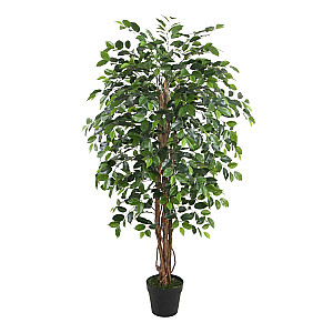 Mākslīgais koks WIND FICUS H150cm