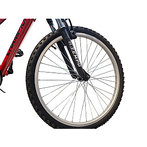 Teenage bicycle Champions 24 Tempo (TMP.2408) black/red