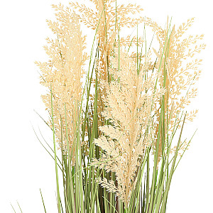 Mākslīgais augs IN GARDEN H87cm, bēšs sorgo, zāle ar podiņu