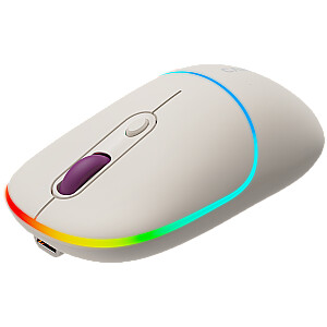 CANYON мышь MW-22 2в1 BT/ Беспроводная Рис
