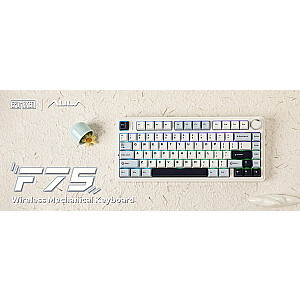 F75 EN / RU izkārtojums mehāniskā spēļu tastatūra balta ledus vēnu slēdzis