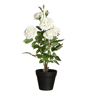 Mākslīgie augi 4Living Rozes lielās baltas 49cm 643586