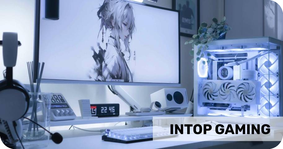 INTOP GAMING