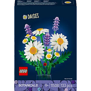 11508 Daisies