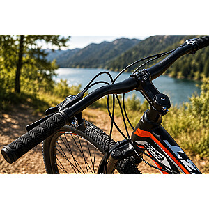 Mountain bike Reset Derek Black/Red (Wheel size: 29 Frame size: L)
