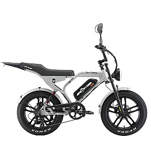 Electric bicycle APE RYDER Mandrill Ultra Grey