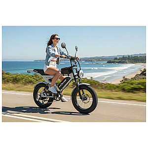 Electric bicycle APE RYDER Mandrill Ultra Grey