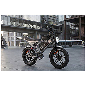 Electric bicycle APE RYDER Mandrill Ultra Grey