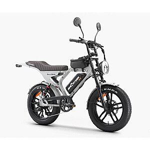 Electric bicycle APE RYDER Mandrill Ultra Grey