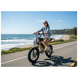Electric bicycle APE RYDER Mandrill Ultra Beige