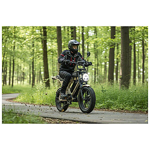 Electric bicycle APE RYDER Mandrill Ultra Beige