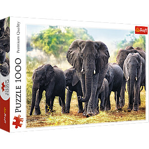 TREFL Puzzle 1000 слонов