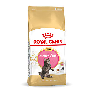 Royal Canin Maine Coon Kitten kaķu sausā barība 10 kg