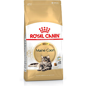 Royal Canin Maine Coon sausā kaķu barība 4 kg Pieaugušajiem