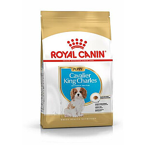 Royal Canin Cavalier King Charles Щенок 1,5 кг